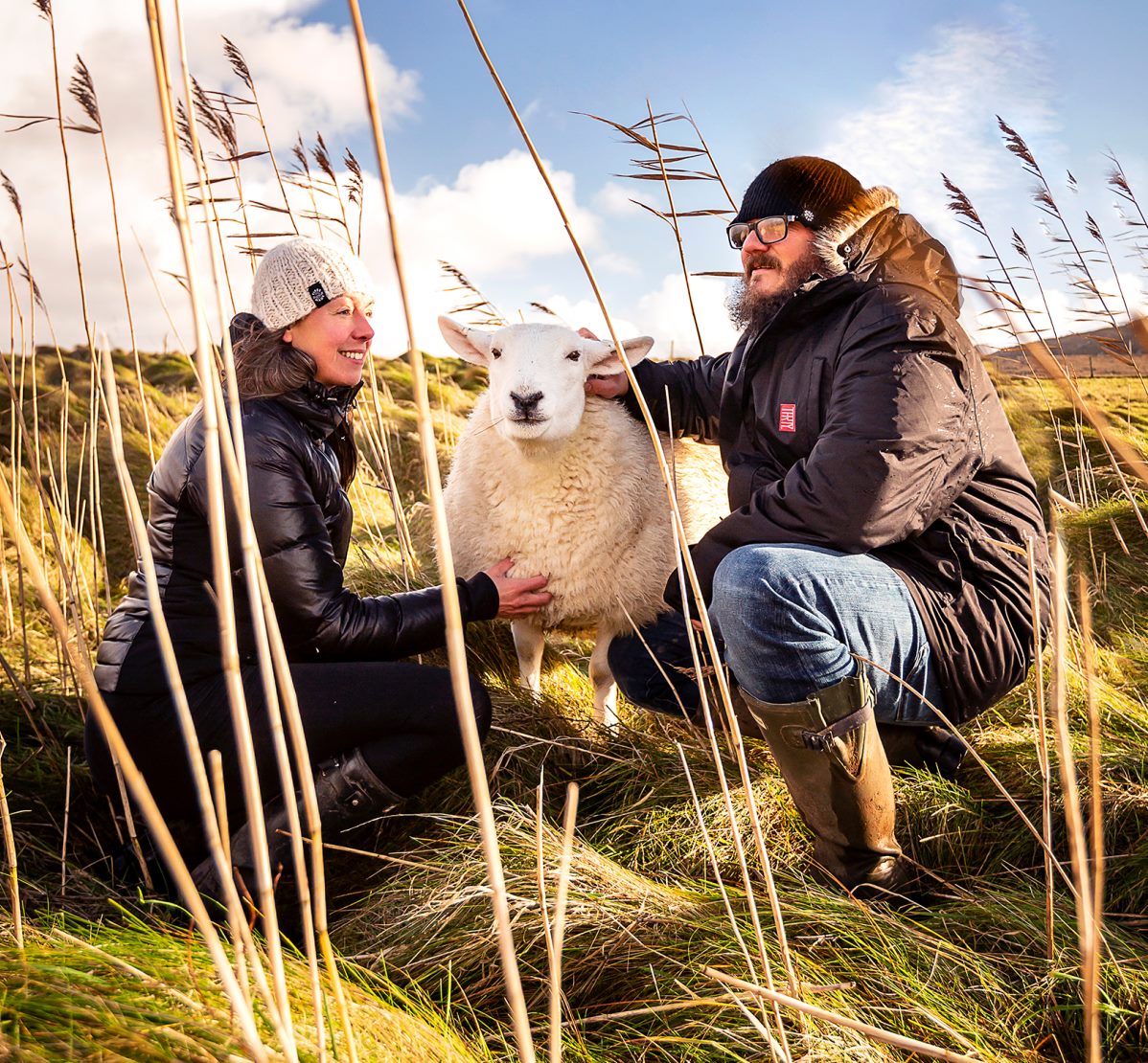 Welan Farm Tiree owners crouched in grass with sheep