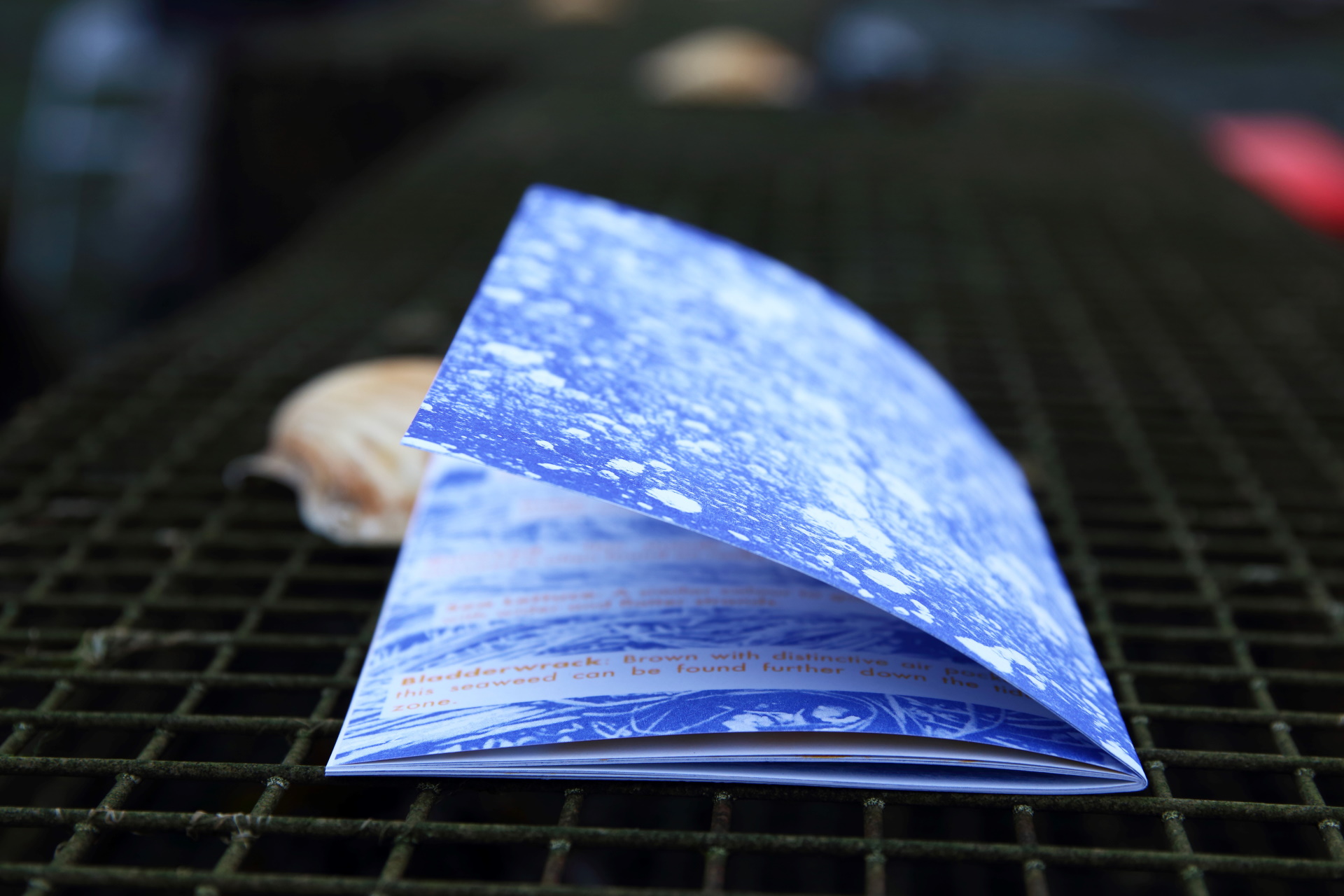 recipe book created by CLIMAVORE students