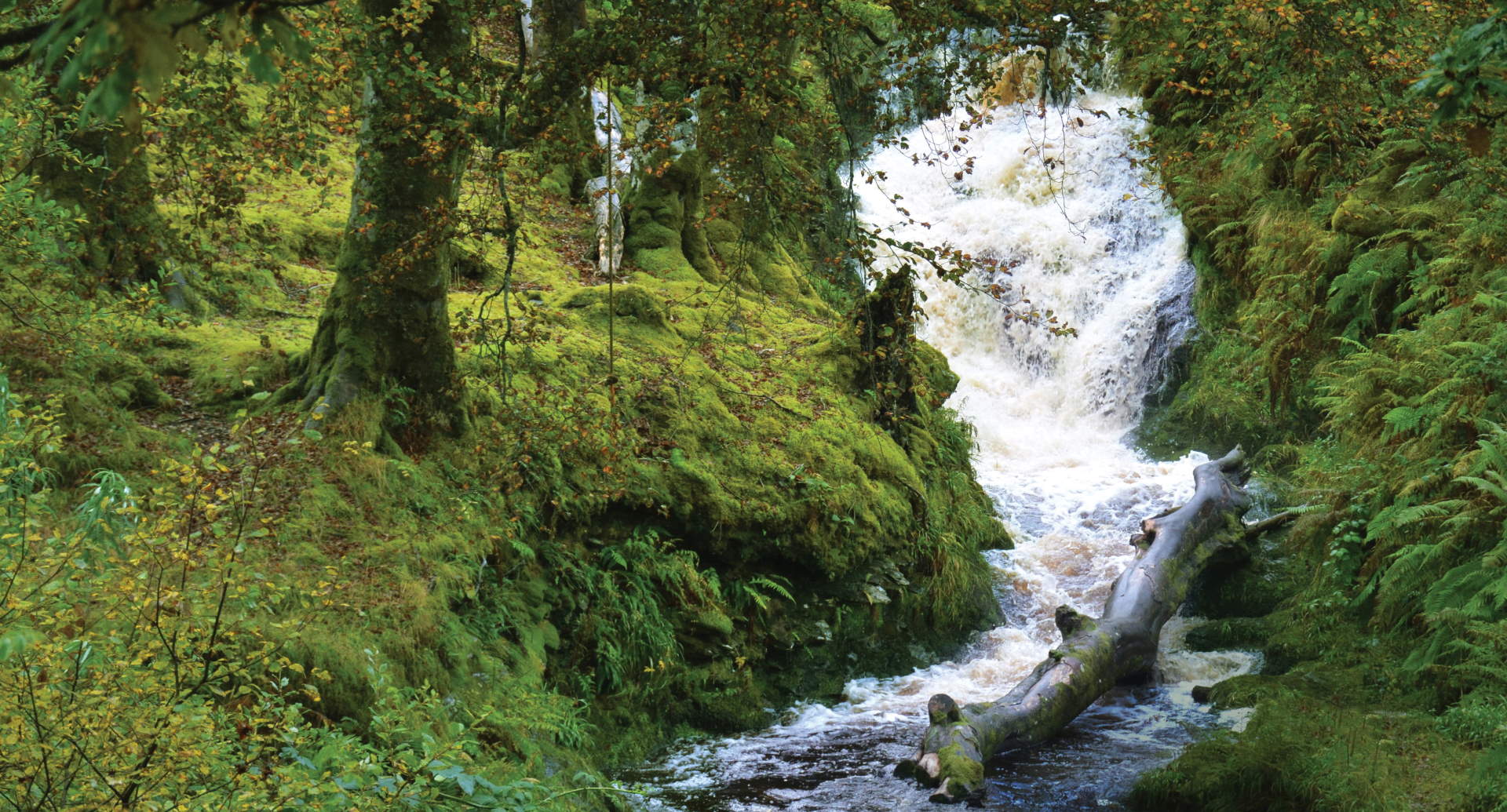 Canan Waterfall Graphic