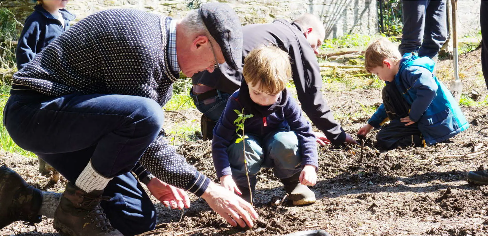 youngsters tree planting