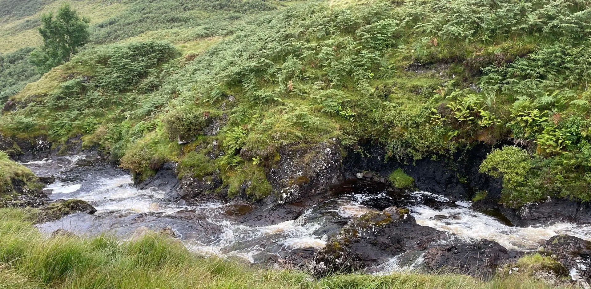 Jenny Love Farm Land 1920 X 940