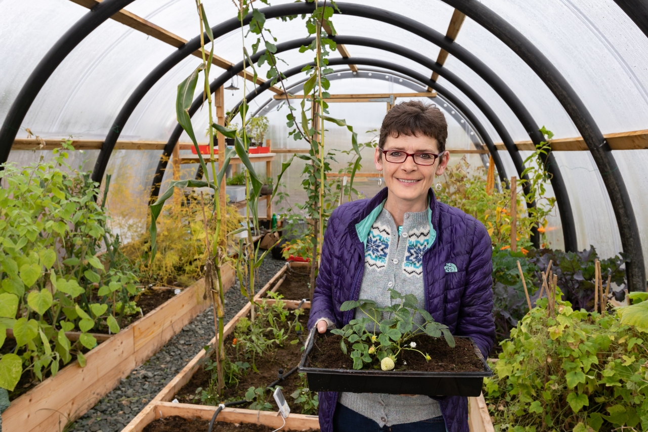 Polycrub in Shetland