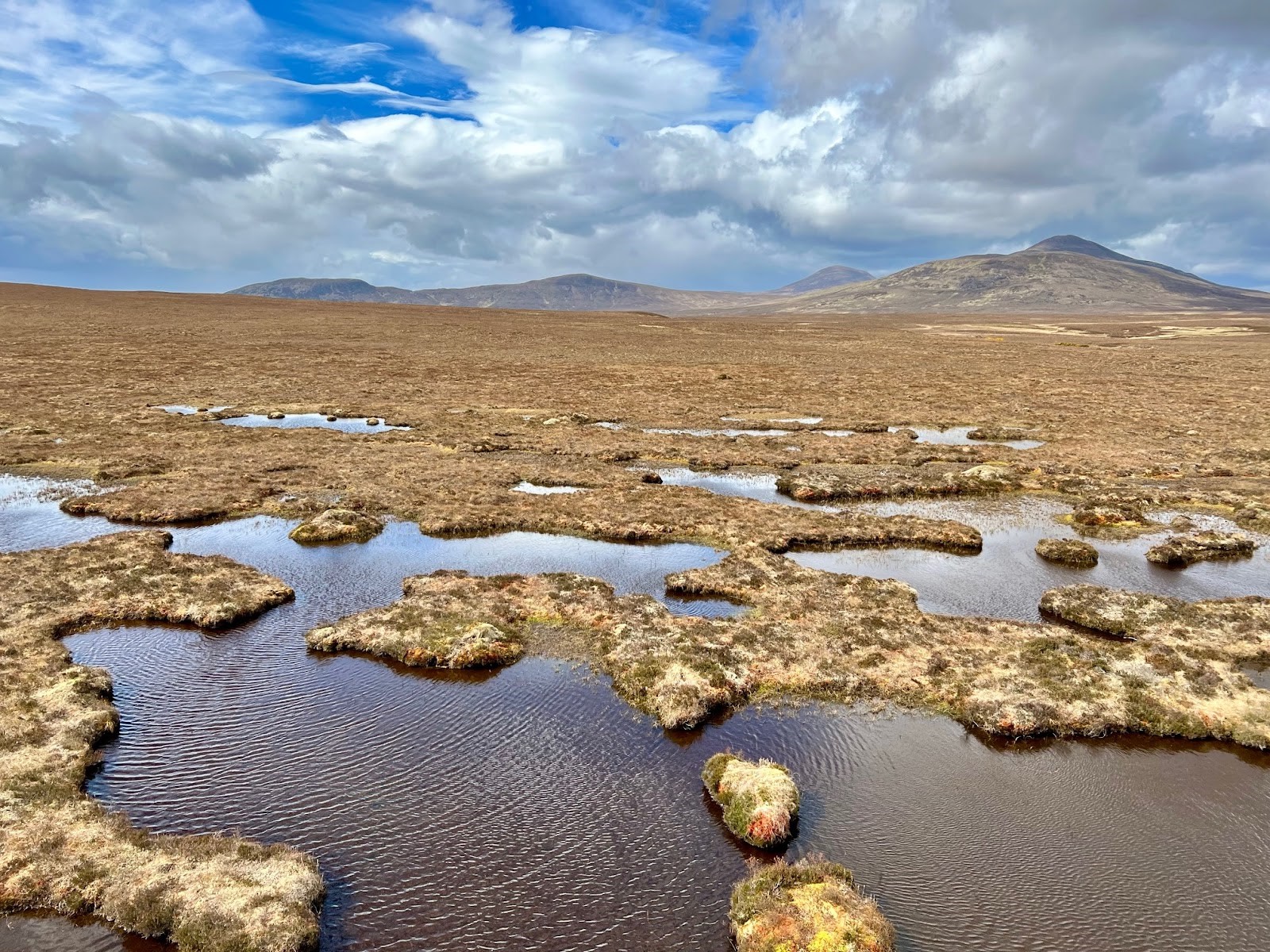 Flow Country Release Pic